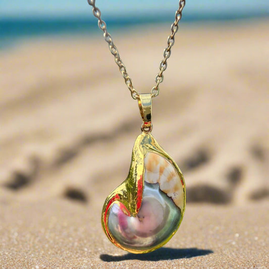 Nautilus Shell Necklace