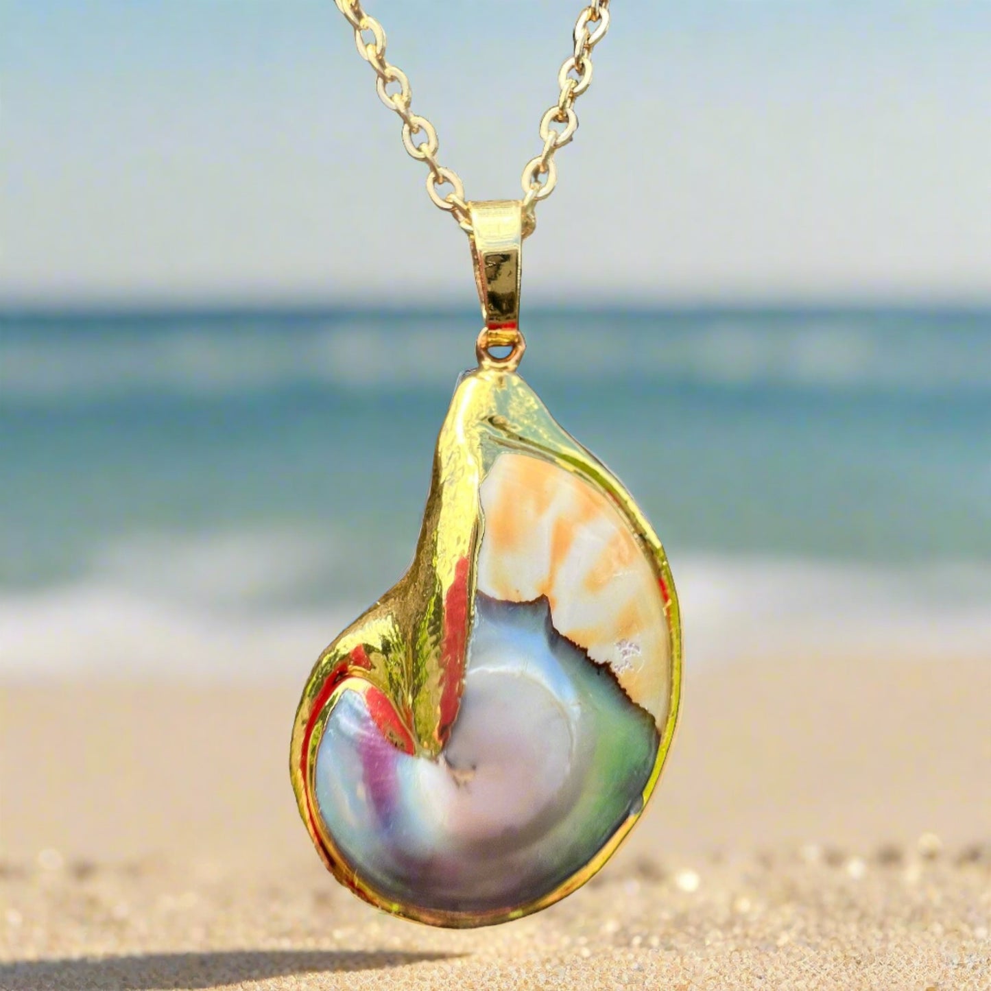 Nautilus Shell Necklace