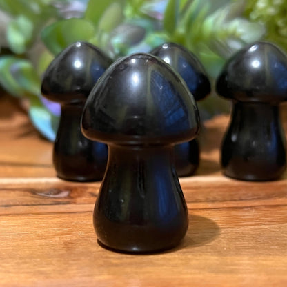 Obsidian Mushroom