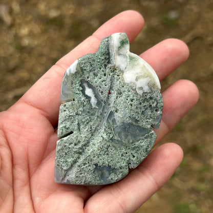 Moss Agate Leaf