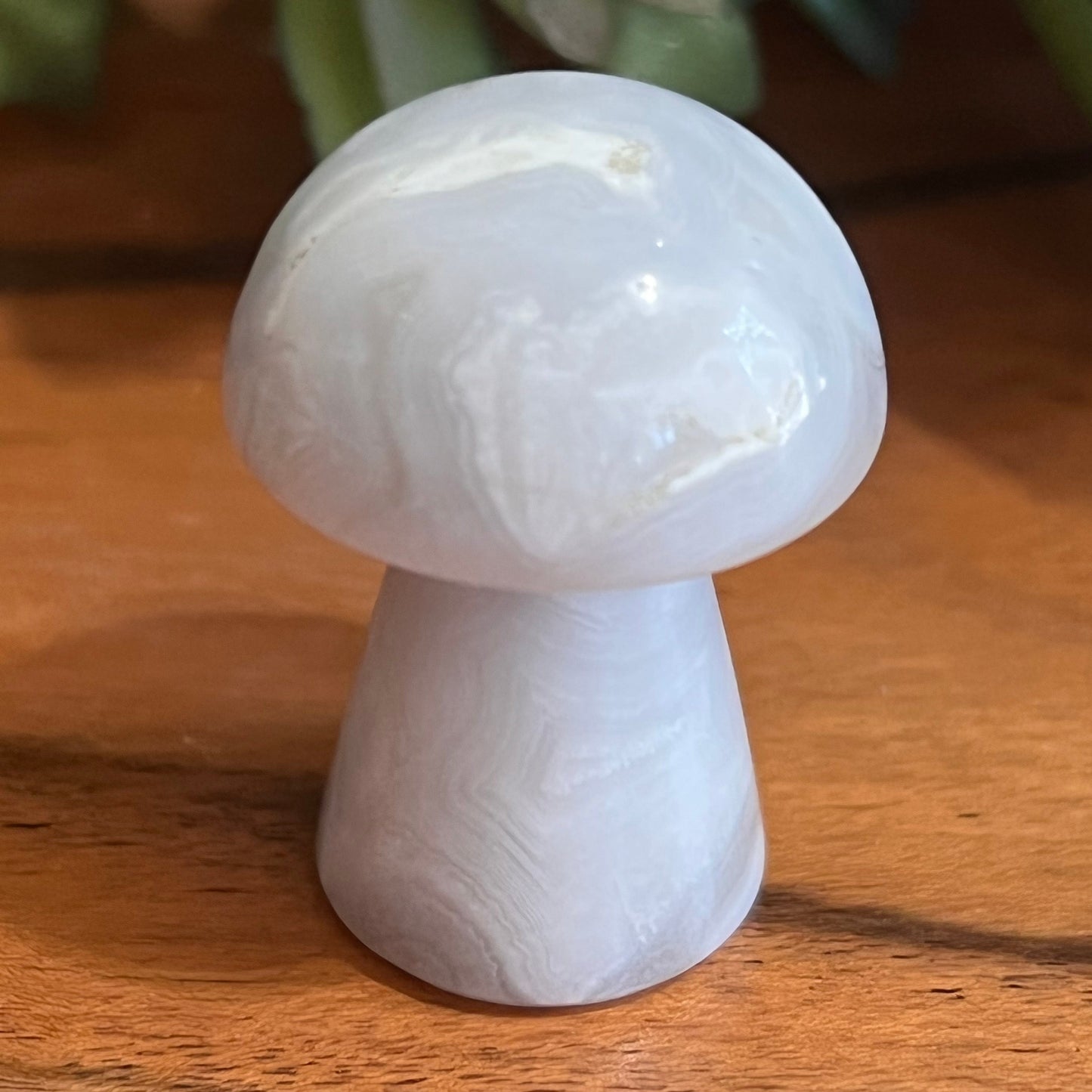 Flower Agate Mushroom