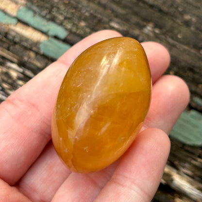 Golden Healer Palm Stone