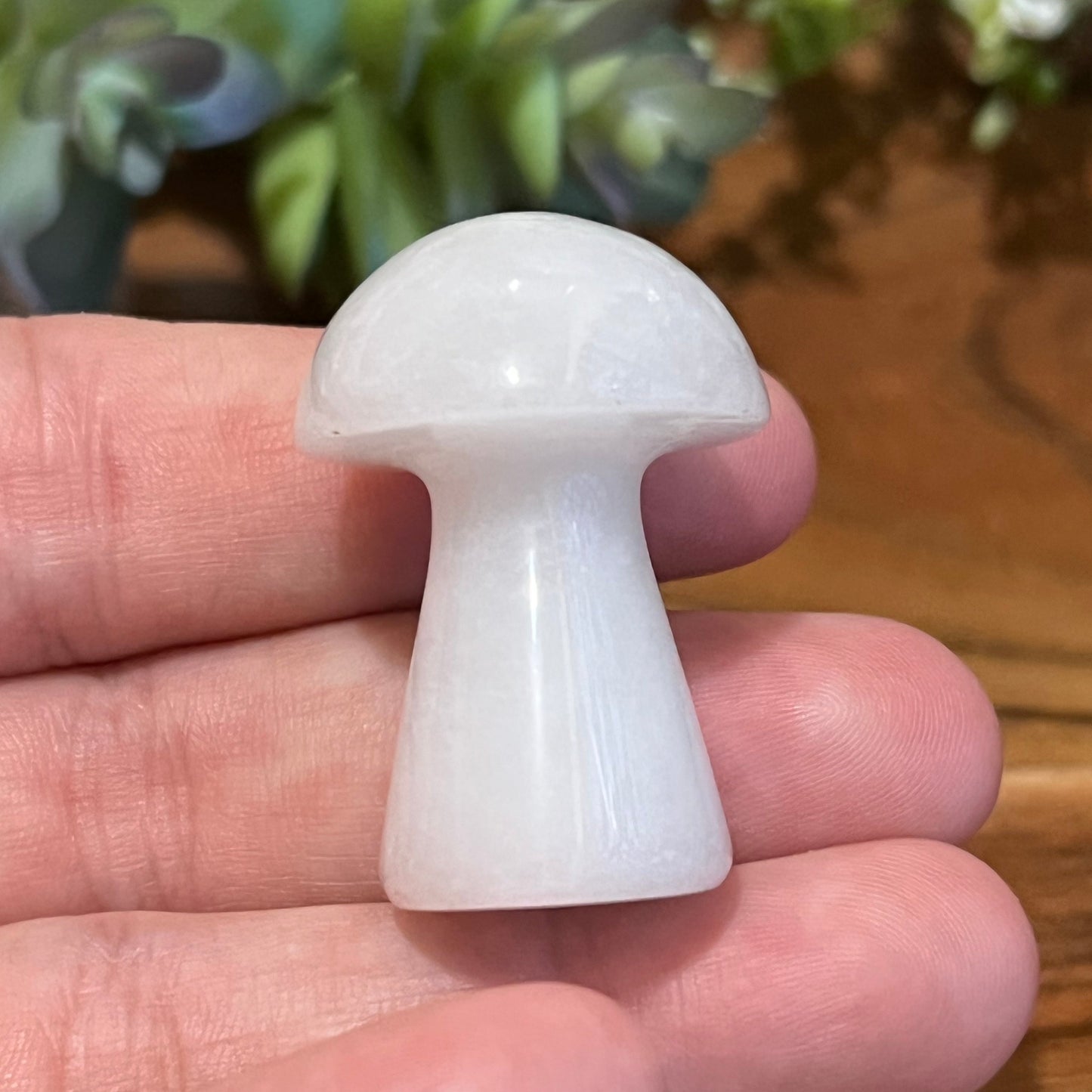 Jade Mushroom