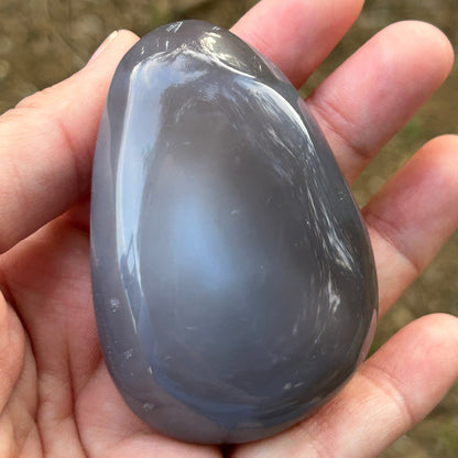 Agate Palm Stone