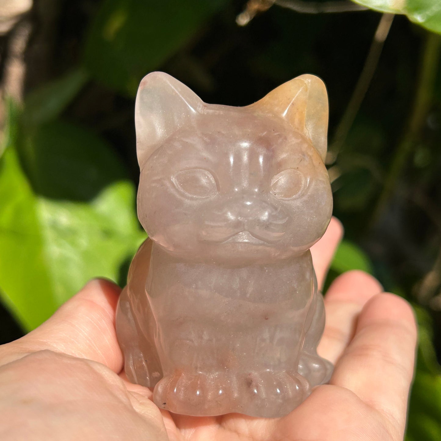 Flower Agate Cat