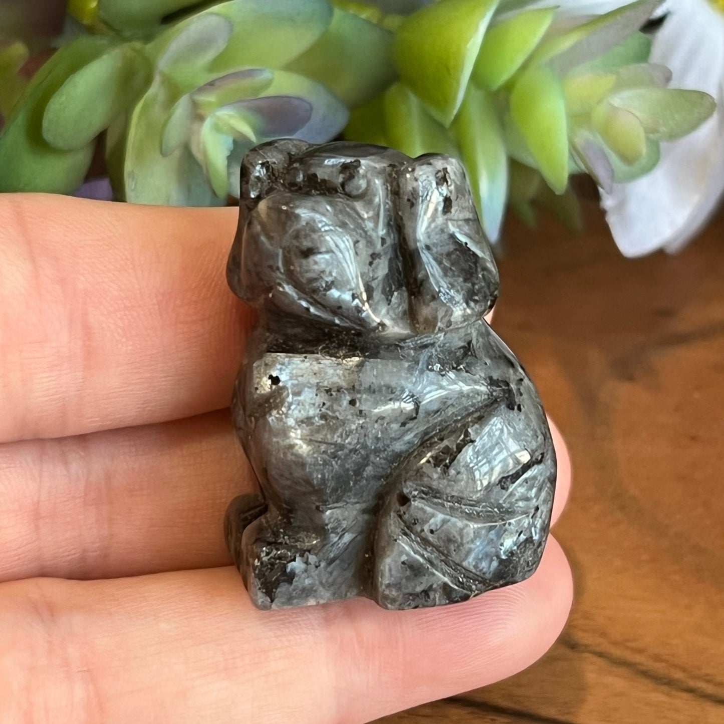 Labradorite Dog