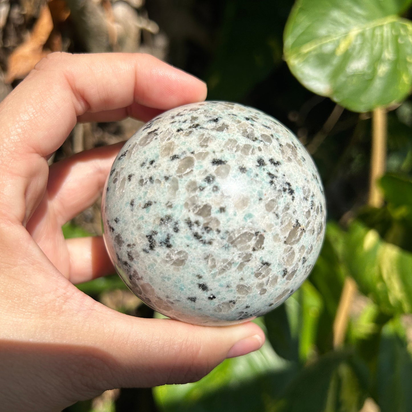 Kiwi Jasper Sphere