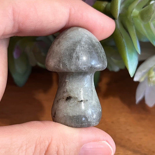 Moonstone Mushroom