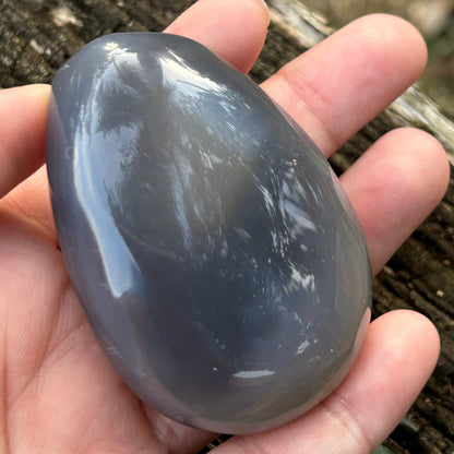 Agate Palm Stone