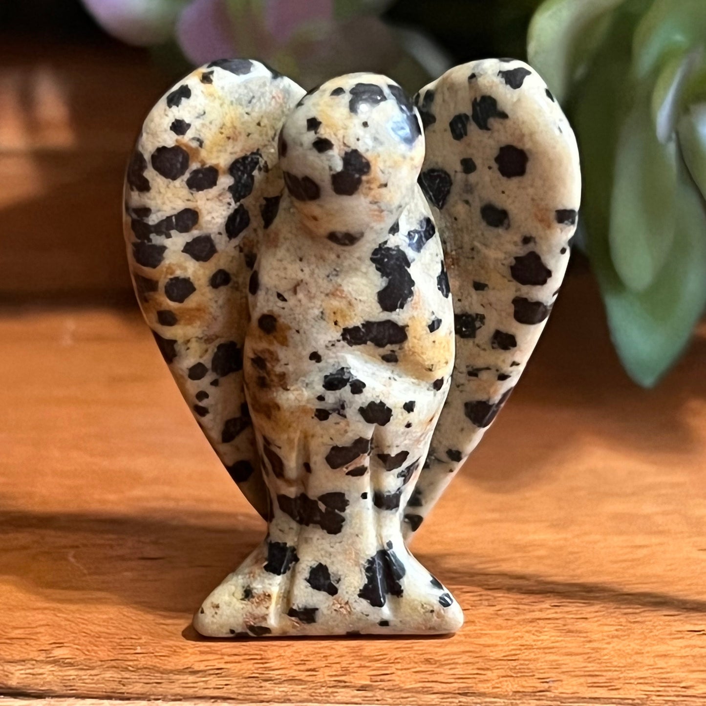 Dalmatian Jasper Angel