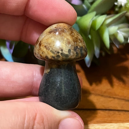 Ocean Jasper Mushroom