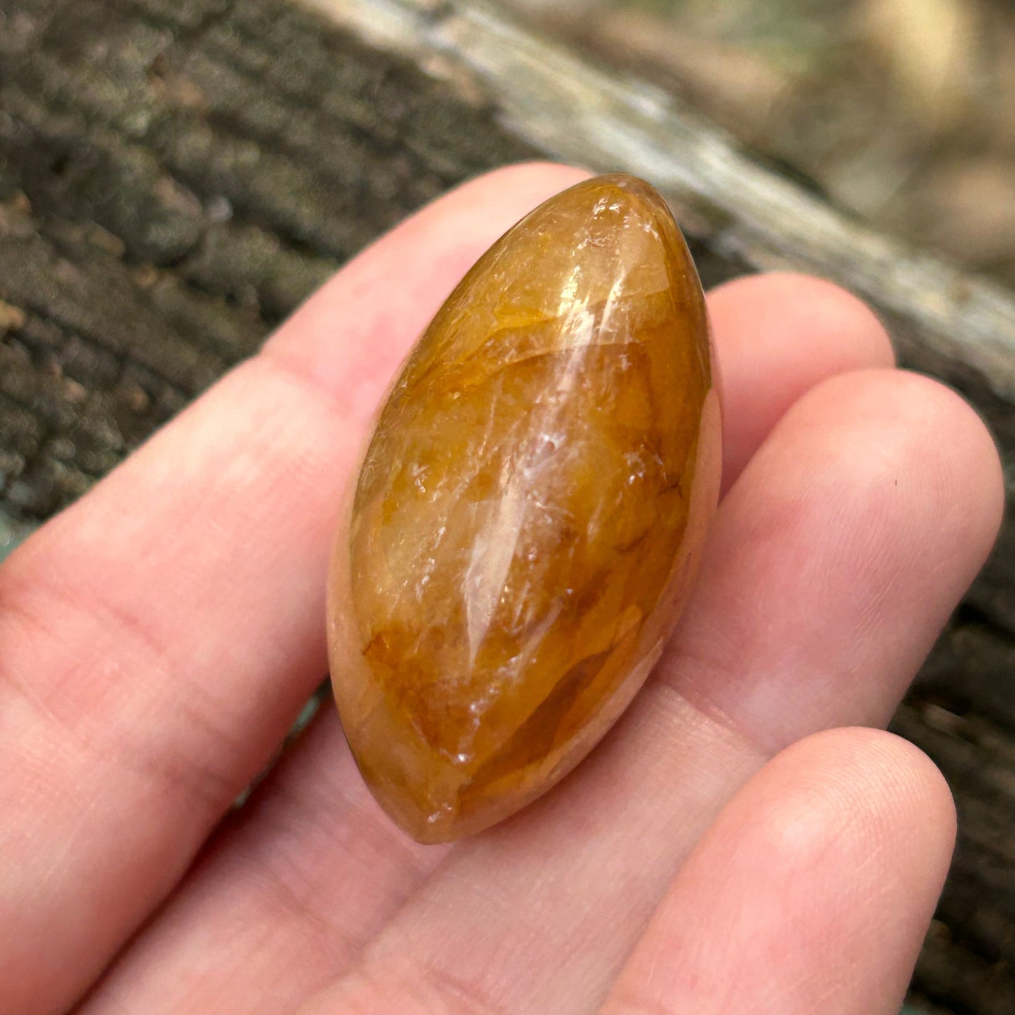 Golden Healer Palm Stone