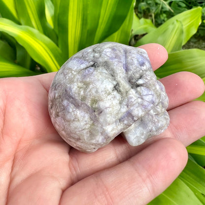 Lepidolite Skull