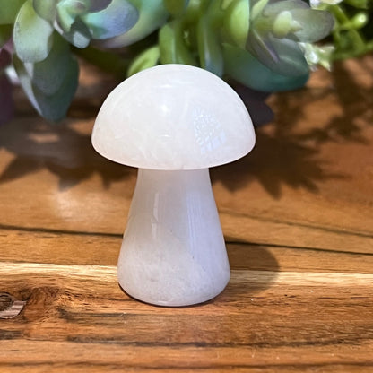 Jade Mushroom