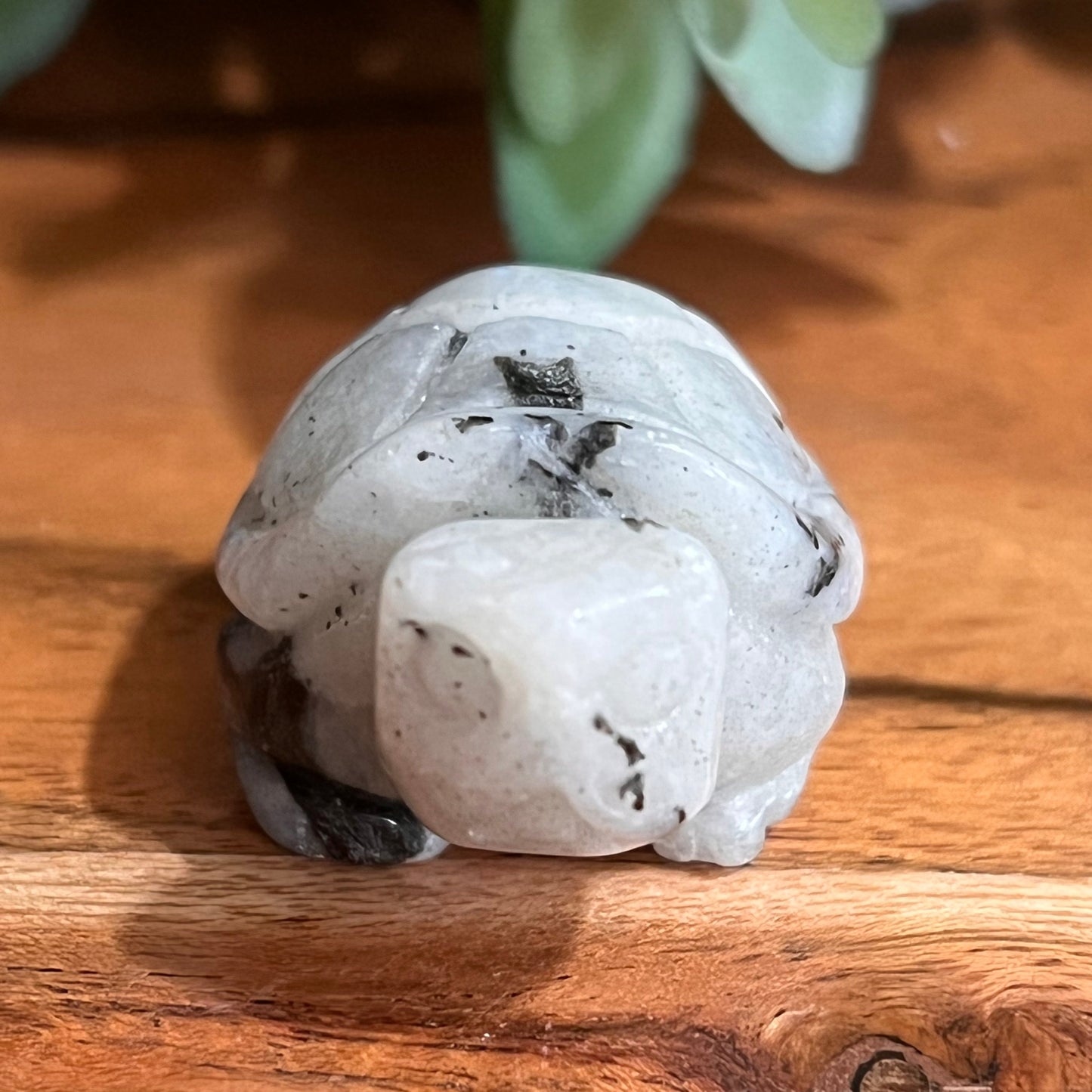 Moonstone Turtle