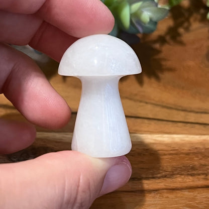 Jade Mushroom