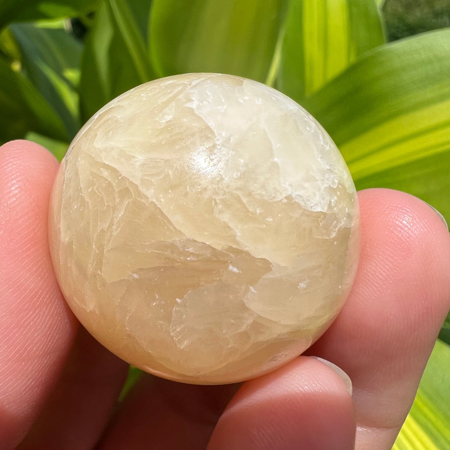 Yellow Calcite Spheres