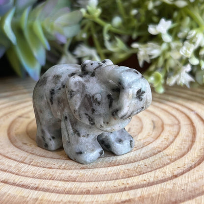 Kiwi Jasper Elephant