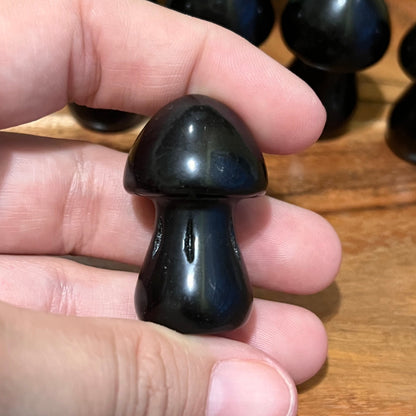 Obsidian Mushroom