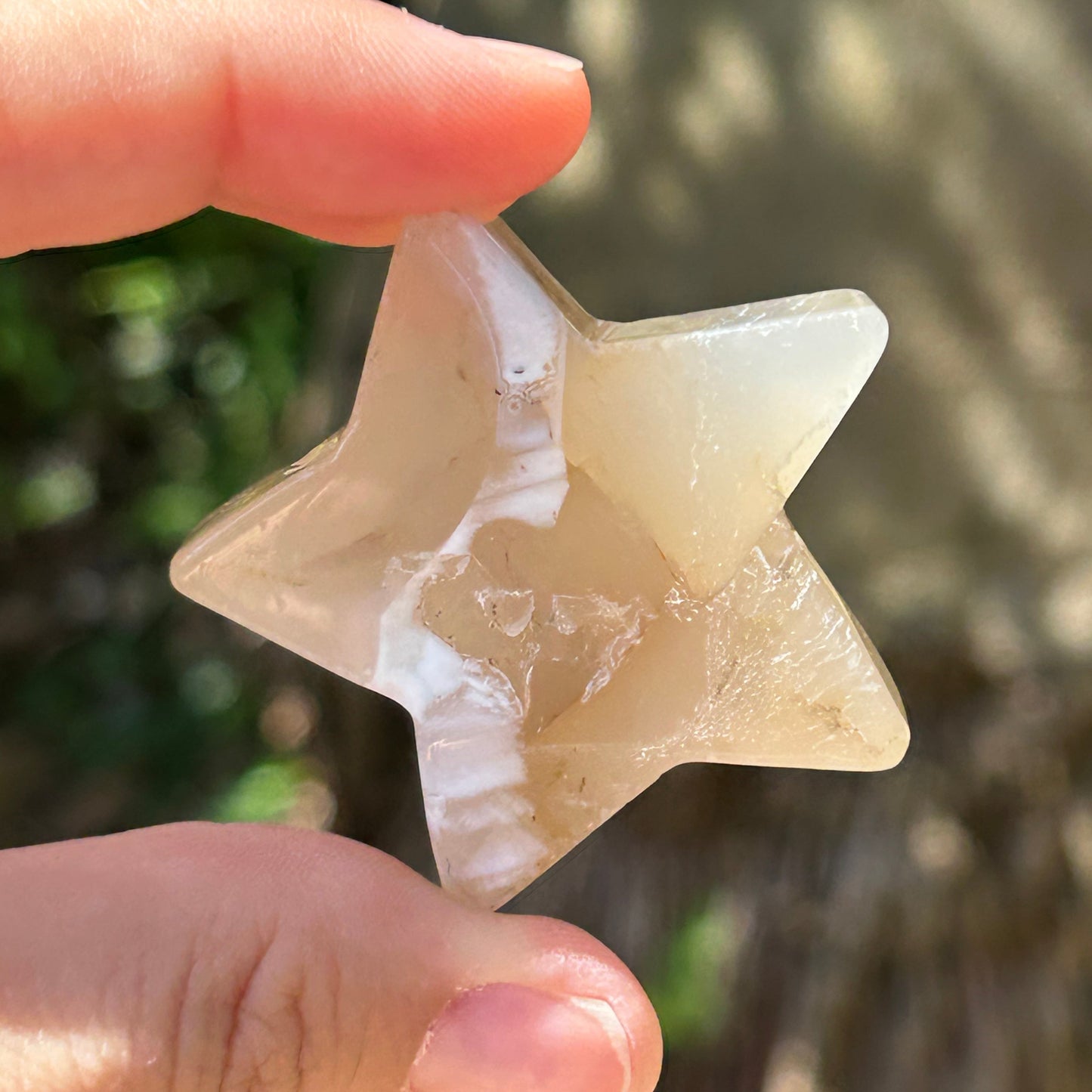 Flower Agate Star