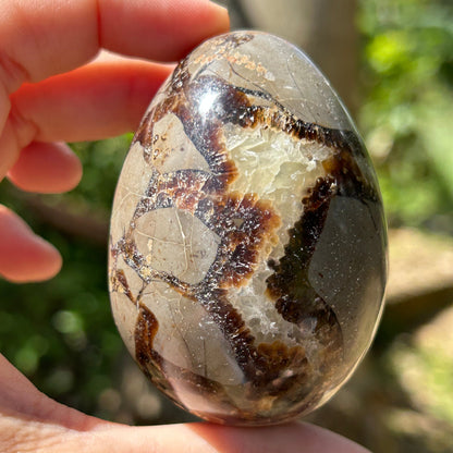 Septarian Egg