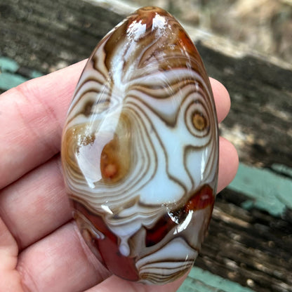 Sardonyx “Silk Agate” Palm Stone