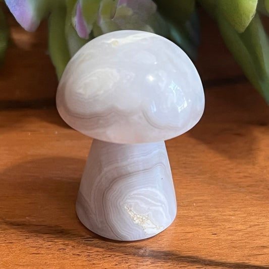 Flower Agate Mushroom