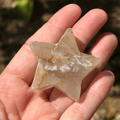 Flower Agate Star