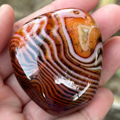 Sardonyx “Silk Agate” Palm Stone