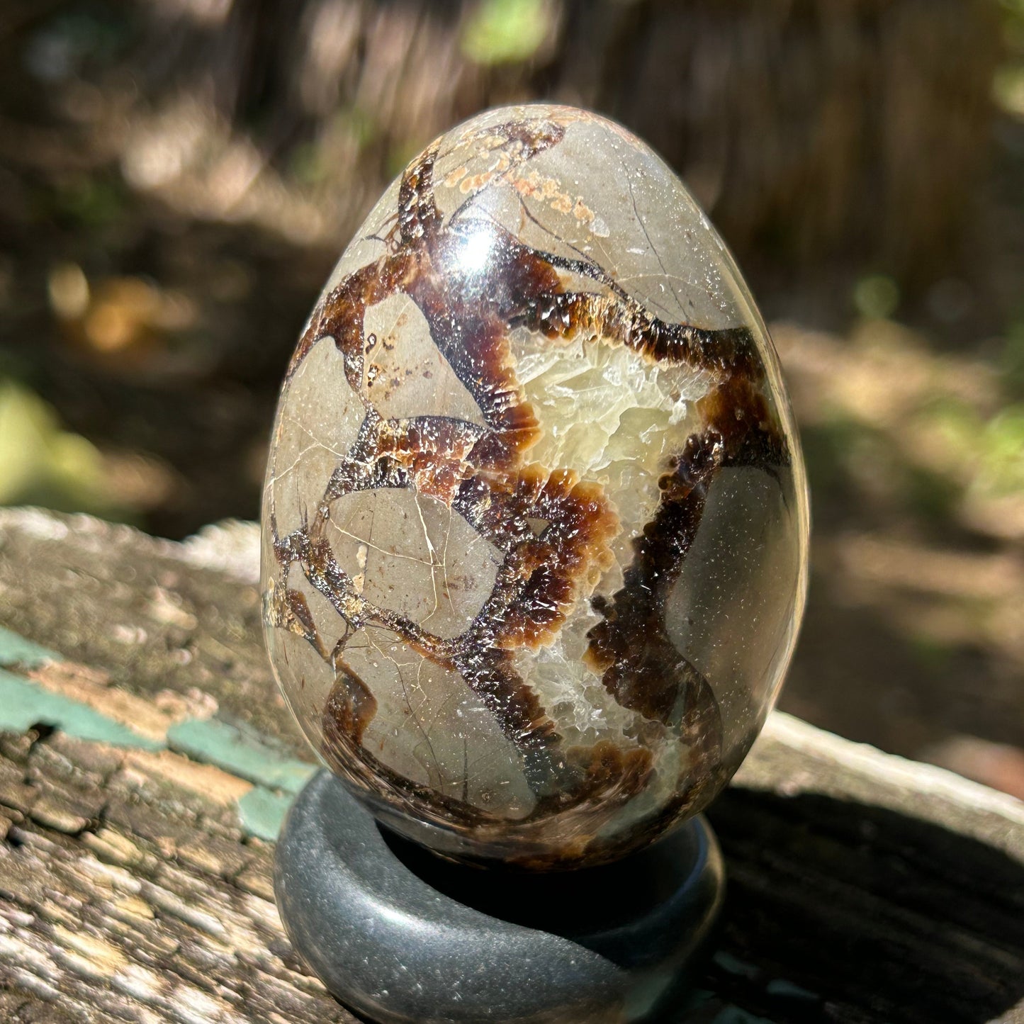 Septarian Egg