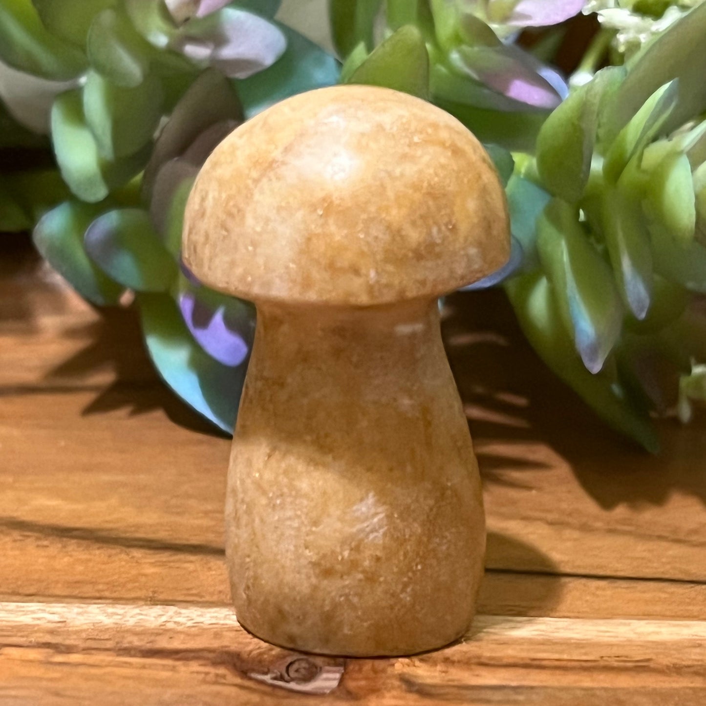 Picture Jasper Mushroom