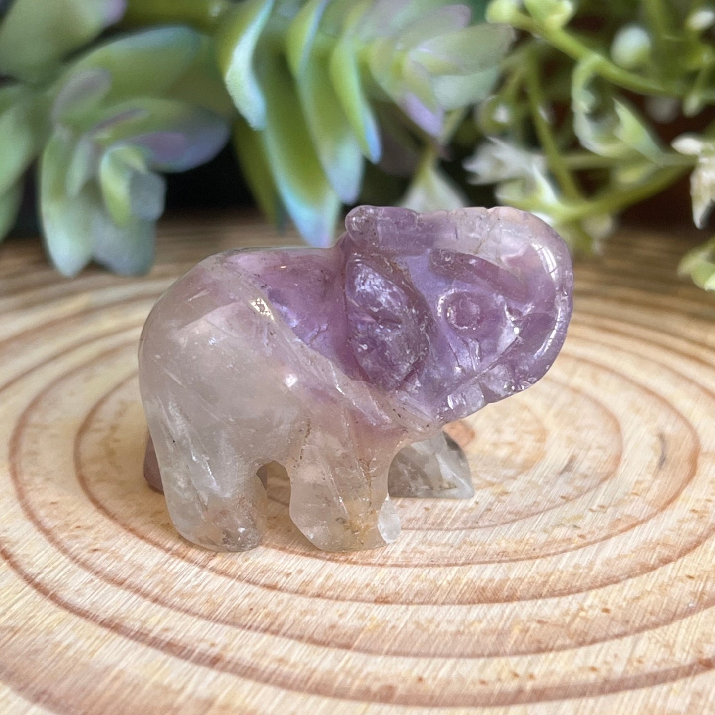 Amethyst Elephant