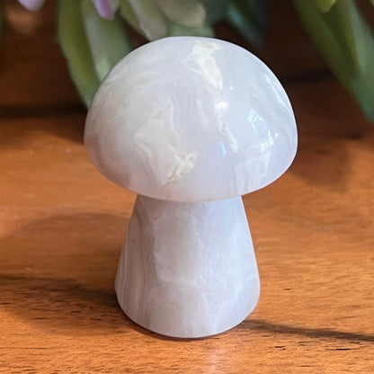 Flower Agate Mushroom