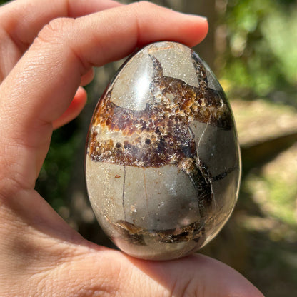 Septarian Egg