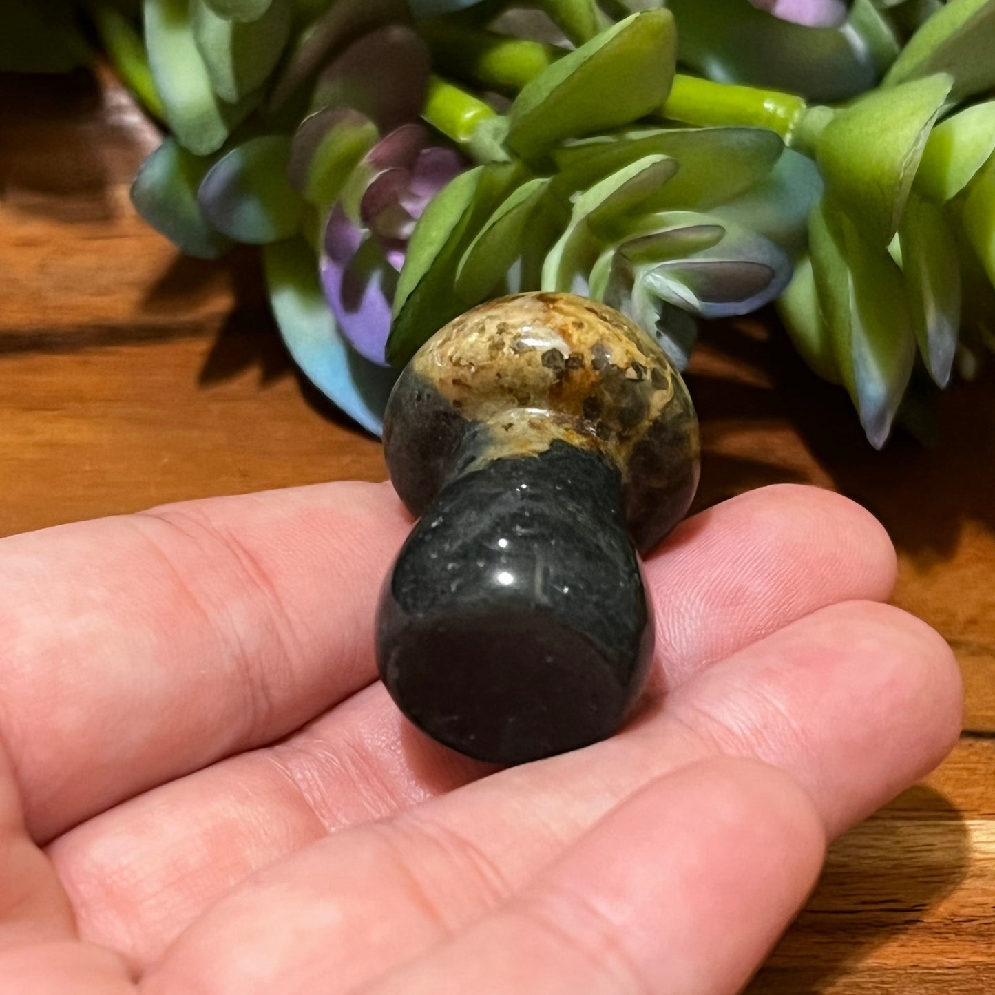 Ocean Jasper Mushroom