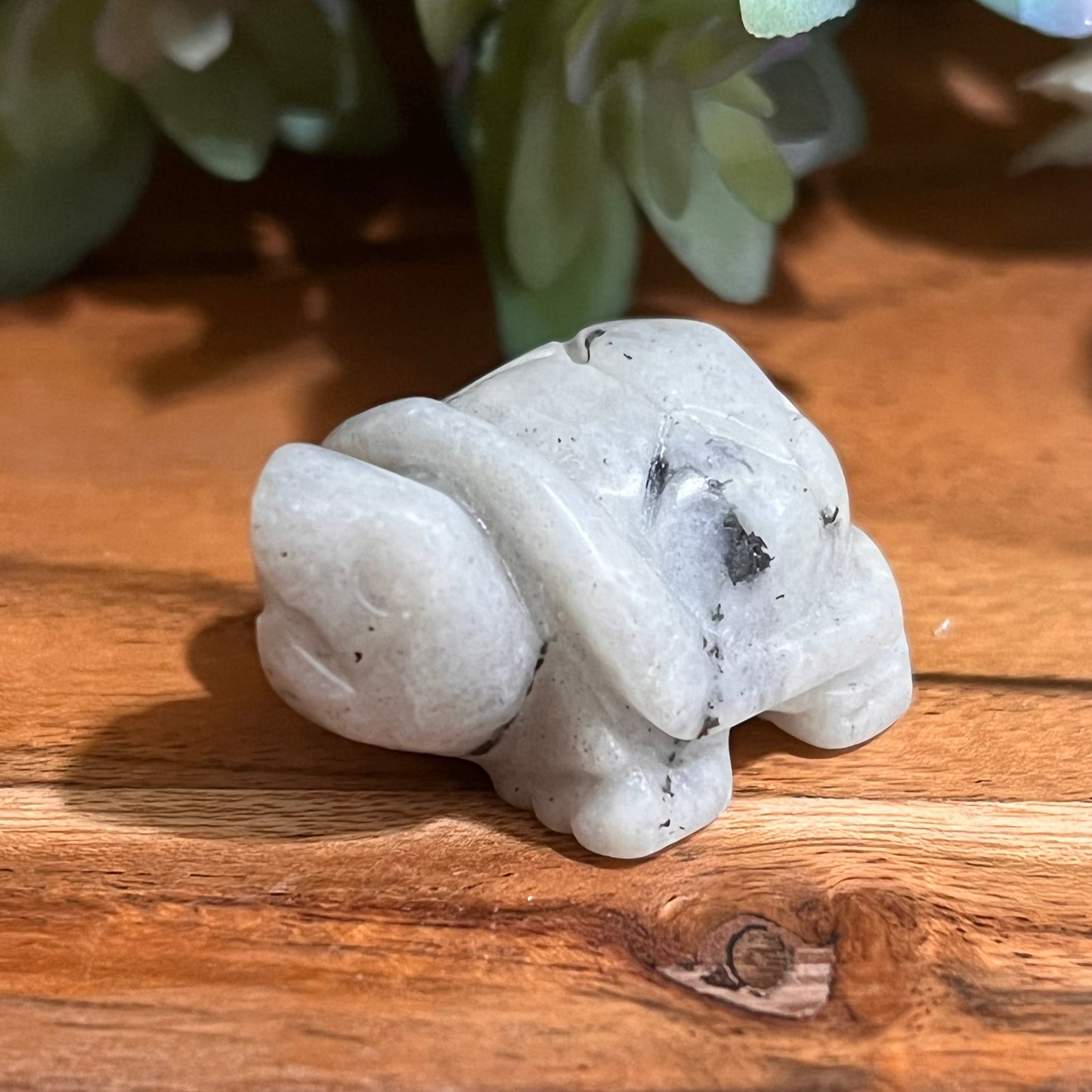 Moonstone Turtle