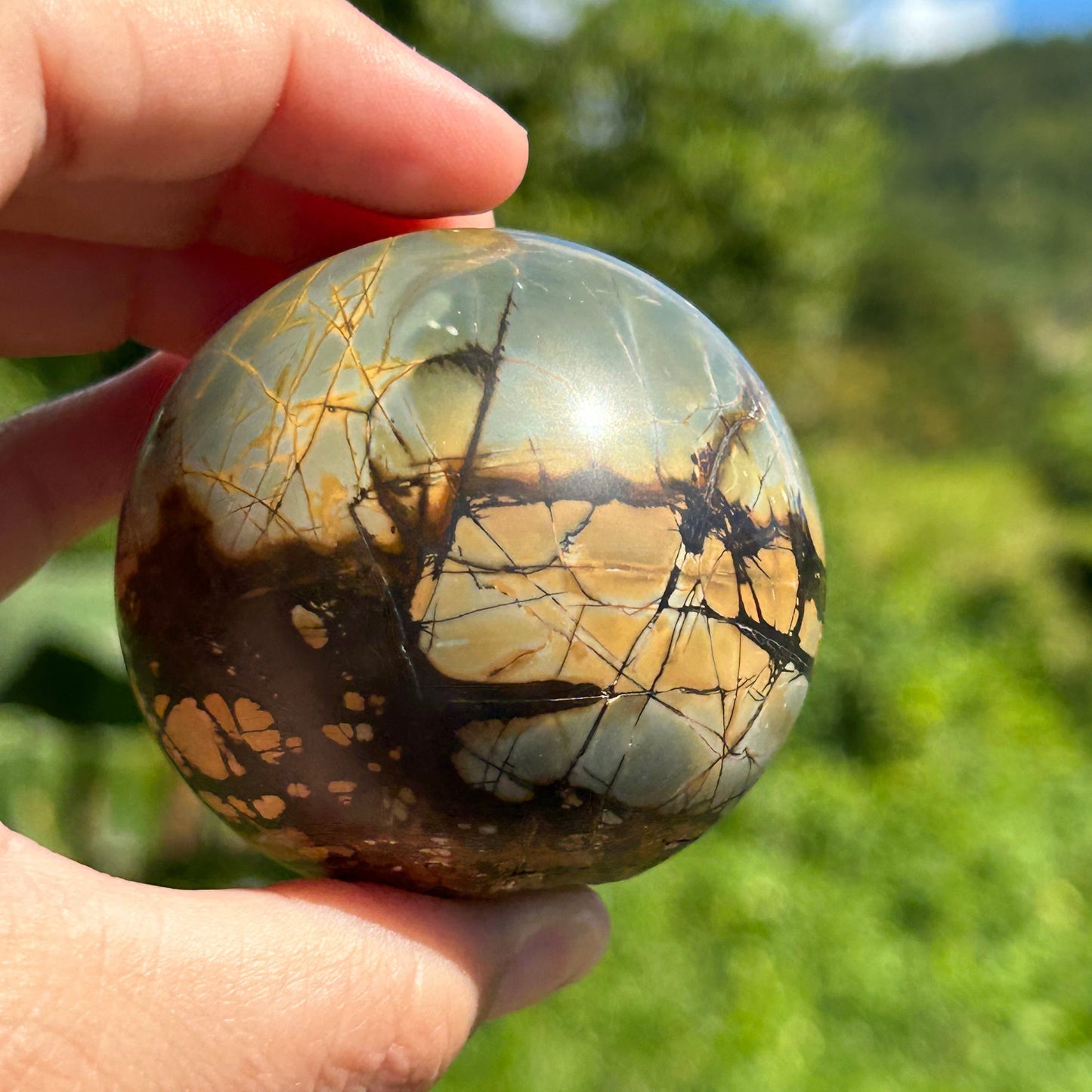 Rare Septarian Sphere