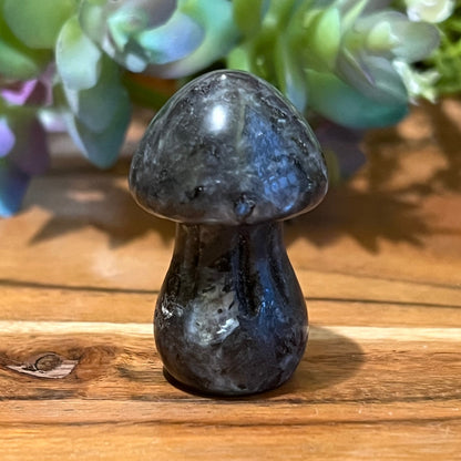 Labradorite Mushroom