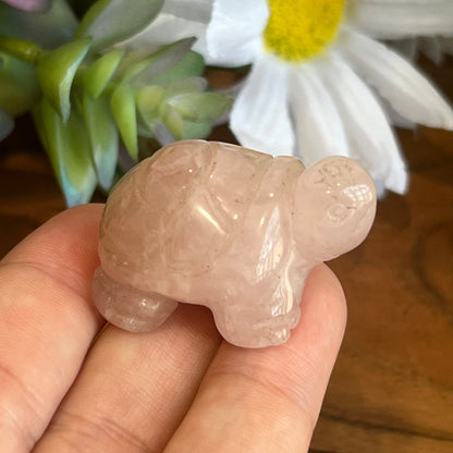 Rose Quartz Turtle