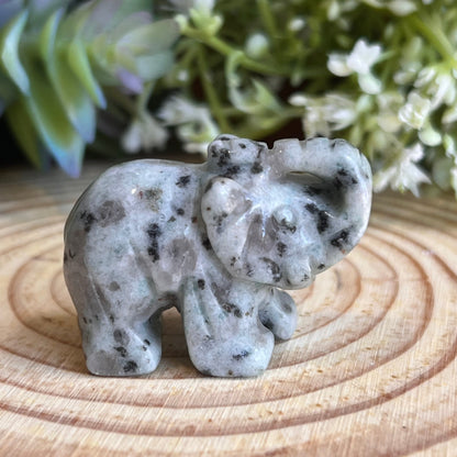 Kiwi Jasper Elephant