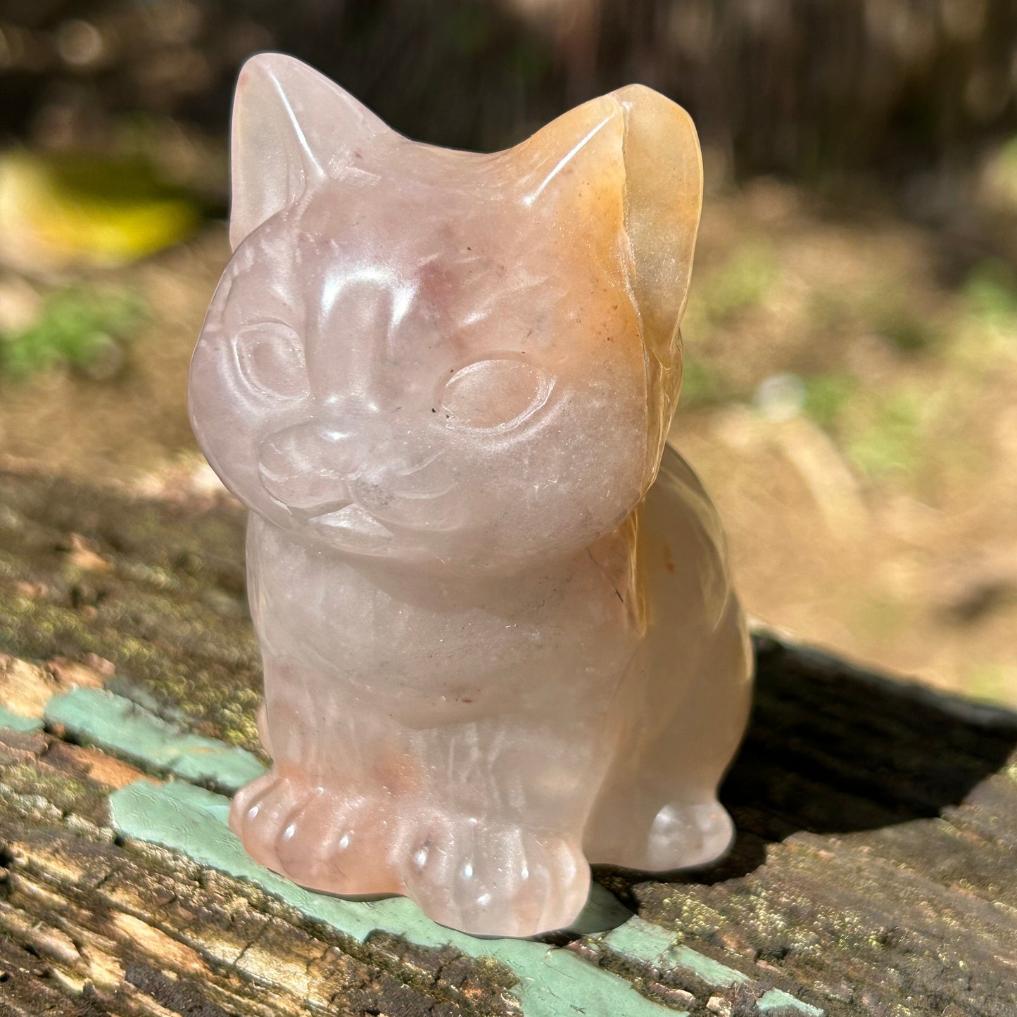 Flower Agate Cat