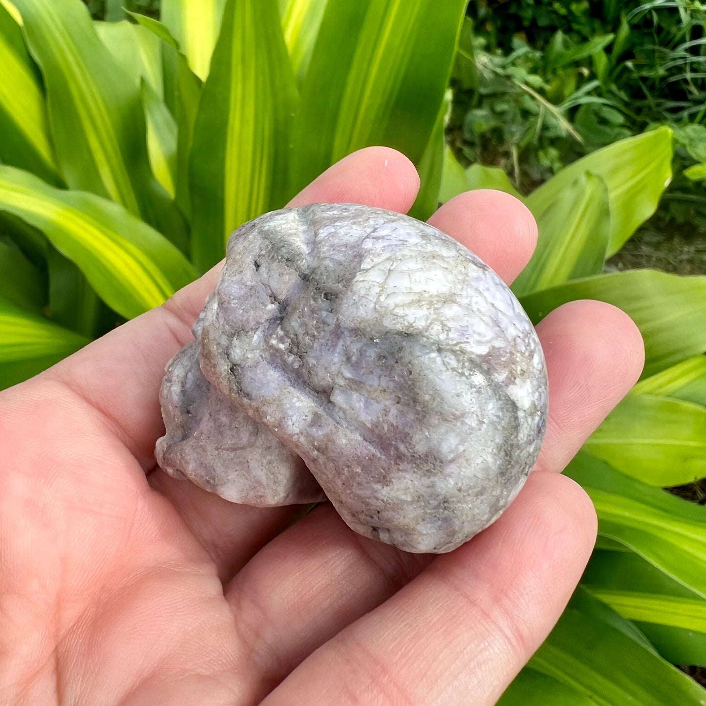 Lepidolite Skull