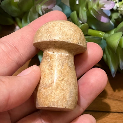 Picture Jasper Mushroom