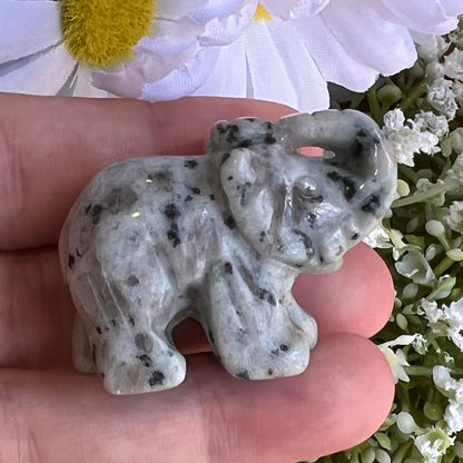 Kiwi Jasper Elephant