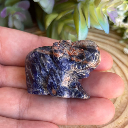 Sodalite Elephant