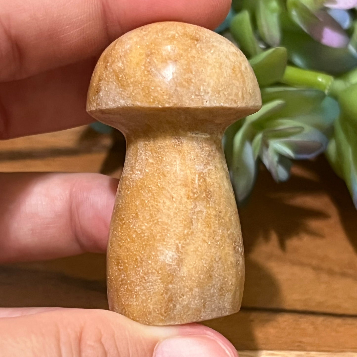 Picture Jasper Mushroom