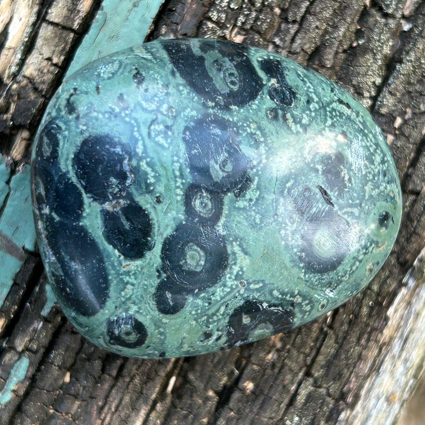 Kambaba Palm Stone