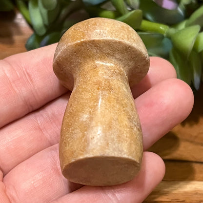 Picture Jasper Mushroom