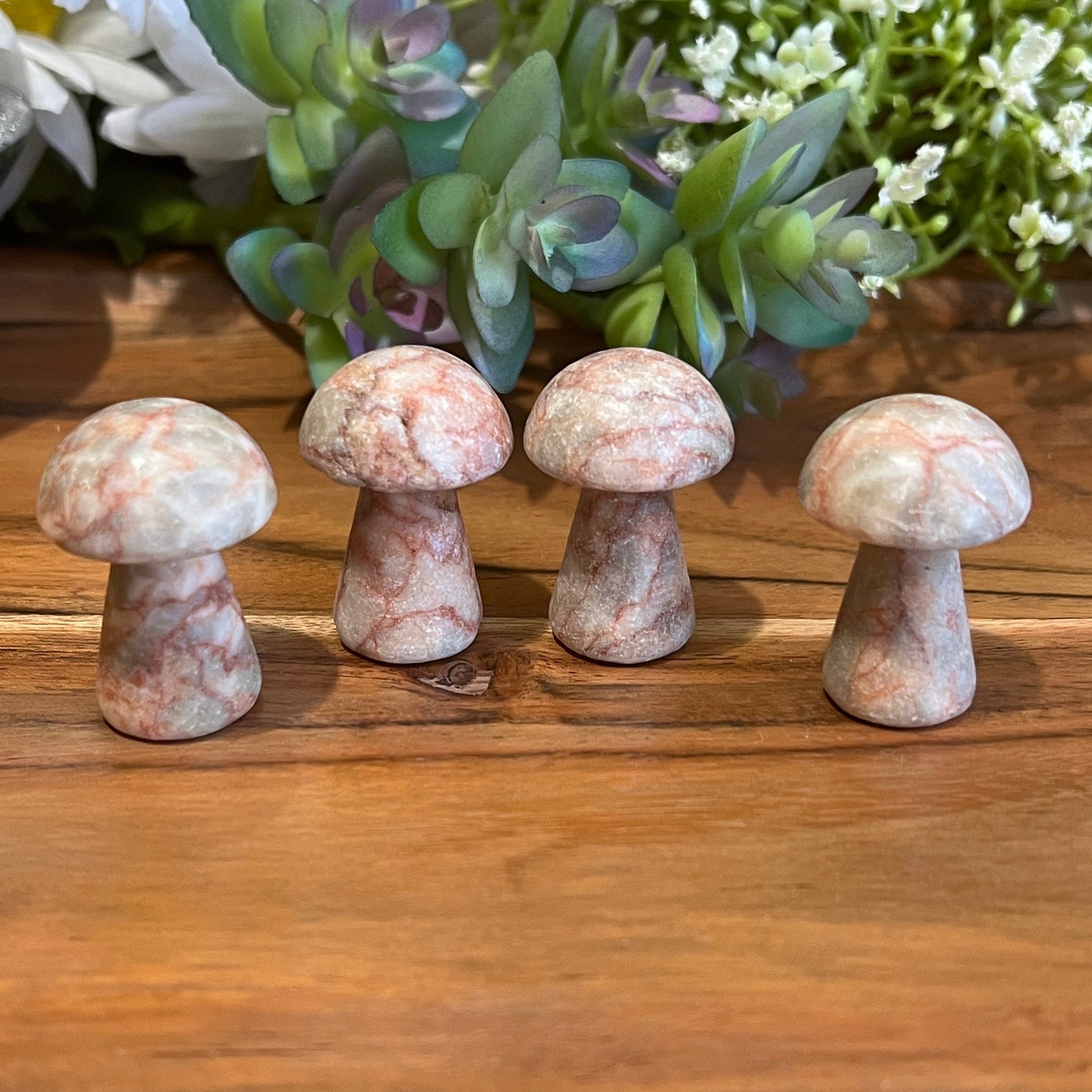 Red Vein Jasper Mushroom