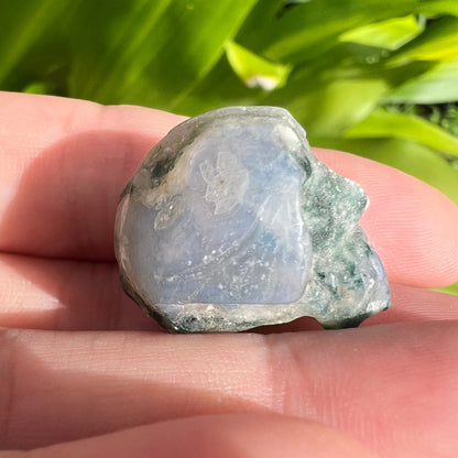 Moss Agate Blue Chalcedony Skull